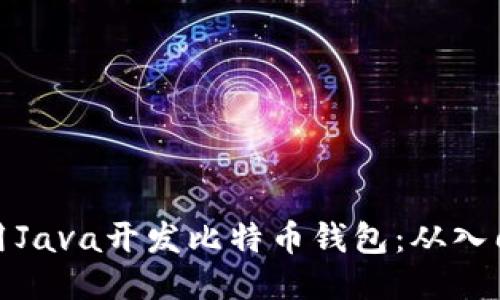 如何使用Java开发比特币钱包：从入门到精通