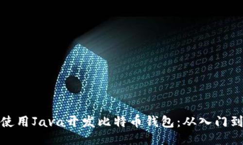 如何使用Java开发比特币钱包：从入门到精通