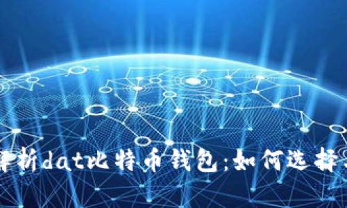 全面解析dat比特币钱包：如何选择与使用