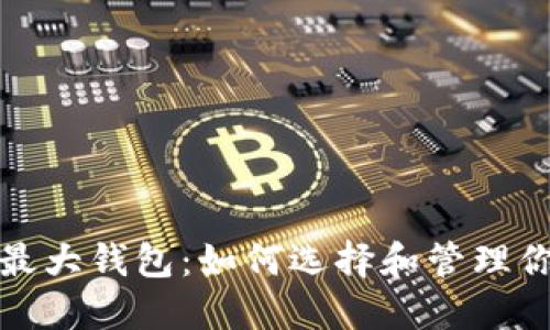 探索比特币最大钱包：如何选择和管理你的数字资产