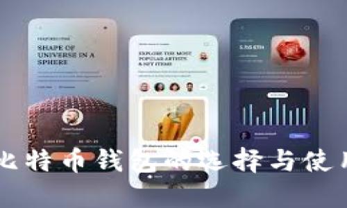 中文比特币钱包的选择与使用指南