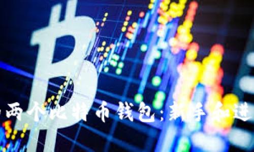 如何选择适合你的两个比特币钱包：新手和进阶用户的全面指南