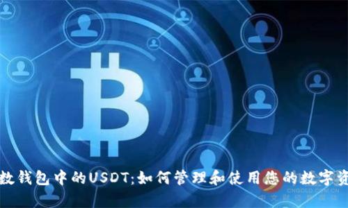 魔数钱包中的USDT：如何管理和使用您的数字资产