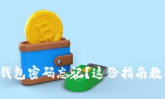 比特币隐藏钱包密码忘记？这份指南教你如何找