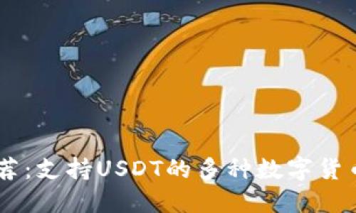 USDT钱包推荐：支持USDT的多种数字货币钱包大揭秘