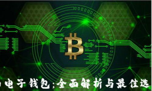 
比特币电子钱包：全面解析与最佳选择指南