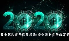 比特币钱包密码设置指南：安全保护你的数字资
