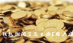 虚拟币钱包倒闭了怎么办？用户应对指南