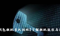 比特币钱包提现多久到账？了解提现流程与注意
