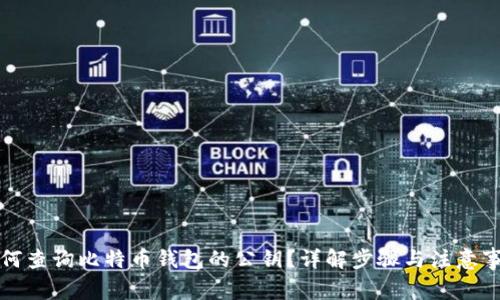 如何查询比特币钱包的公钥？详解步骤与注意事项