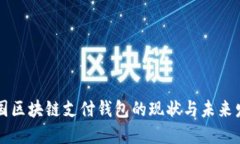 中国区块链支付钱包的现状与未来发展