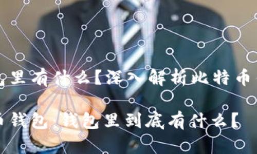 比特币钱包里有什么？深入解析比特币钱包的构成

揭秘比特币钱包：钱包里到底有什么？