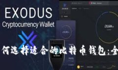 新手如何选择适合的比特币钱包：全面指南