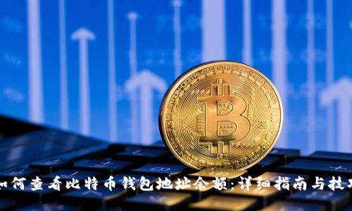 如何查看比特币钱包地址余额：详细指南与技巧