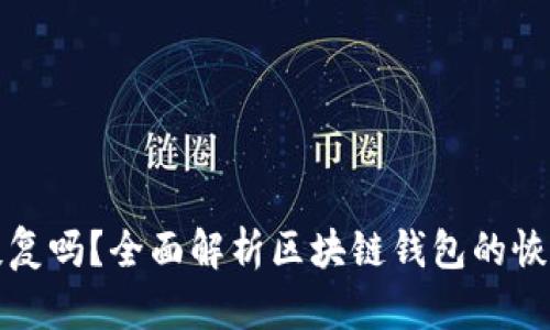 区块链钱包能恢复吗？全面解析区块链钱包的恢复机制与安全性