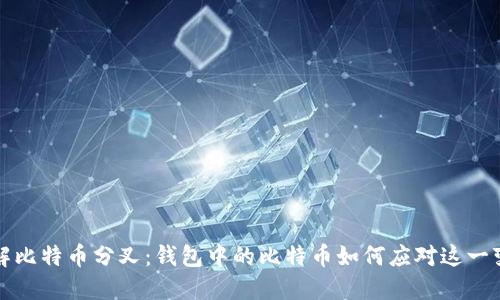 理解比特币分叉：钱包中的比特币如何应对这一变化