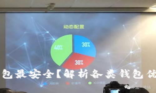 比特币放什么钱包最安全？解析各类钱包优缺点及选择指南