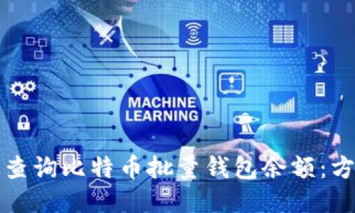 如何高效查询比特币批量钱包余额：方法与技巧