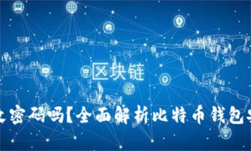 比特币钱包能改密码吗？全面解析比特币钱包安全与密码管理