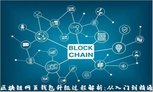 
区块链网页钱包升级过程解析：从入门到精通
