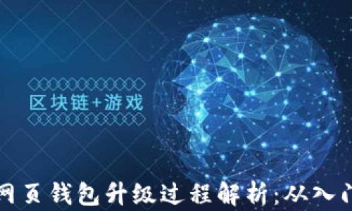 
区块链网页钱包升级过程解析：从入门到精通
