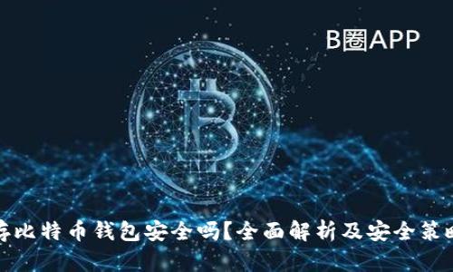 存比特币钱包安全吗？全面解析及安全策略