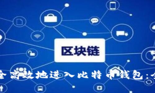 如何安全高效地进入比特币钱包：全面指南