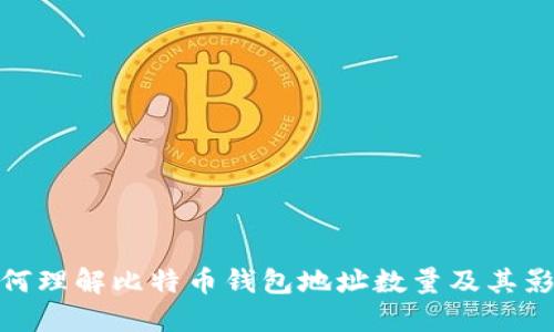 如何理解比特币钱包地址数量及其影响