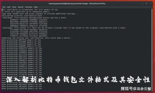 深入解析比特币钱包文件格式及其安全性