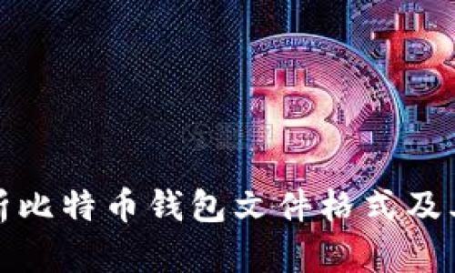 深入解析比特币钱包文件格式及其安全性