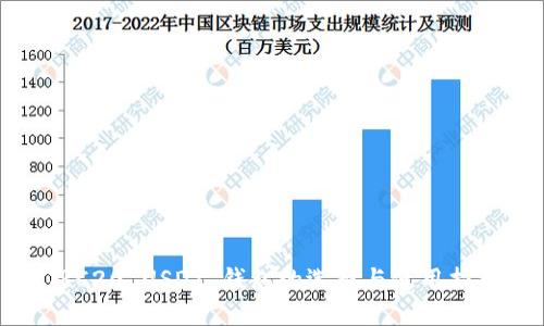 TRC20 USDT 钱包的选择与使用指南