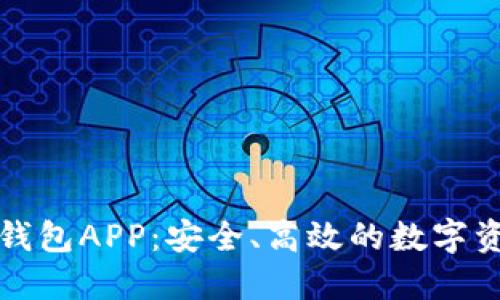 比特币电子钱包APP：安全、高效的数字资产管理工具