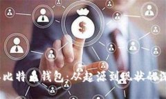2009年比特币钱包：从起源到现状的深入探讨