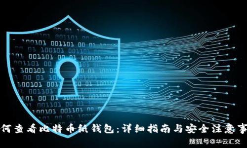 如何查看比特币纸钱包：详细指南与安全注意事项