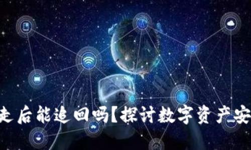 Tokenim被转走后能追回吗？探讨数字资产安全与追回措施