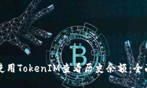 如何使用TokenIM查看历史余额：全面指南