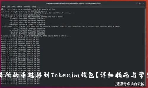 如何将交易所的币转移到Tokenim钱包？详细指南与常见问题解析
