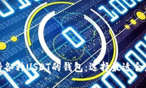 全面解析支持各种USDT的钱包：选择最适合您的存储方案