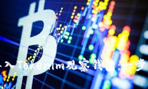 如何导入Tokenim观察钱包：一步步指南