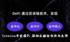 Tokenim开发团队：驱动区块链创新的先锋