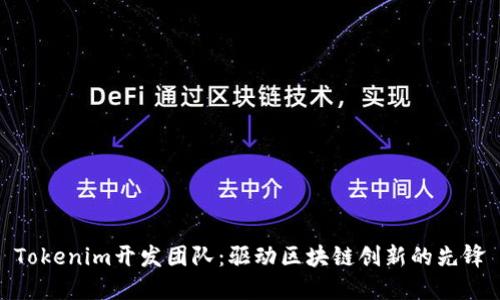 Tokenim开发团队：驱动区块链创新的先锋