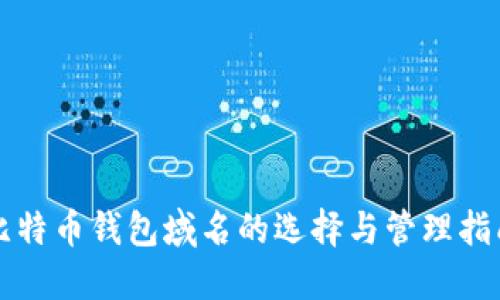 比特币钱包域名的选择与管理指南