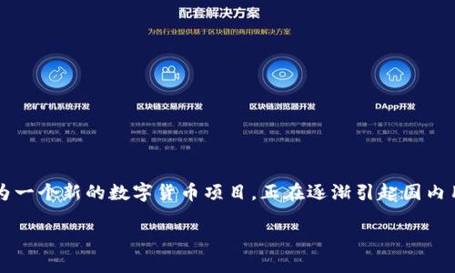 在这个快速发展的数字时代，区块链和加密货币的概念逐渐被越来越多的人所接受。在众多新兴的加密资产中，Tokenim作为一个新的数字货币项目，正在逐渐引起国内用户的关注。那么，Tokenim在国内用户中的受欢迎程度是多少呢？为了全面了解这一问题，我们将从多个角度进行深入分析。

Tokenim在国内用户的受欢迎程度分析