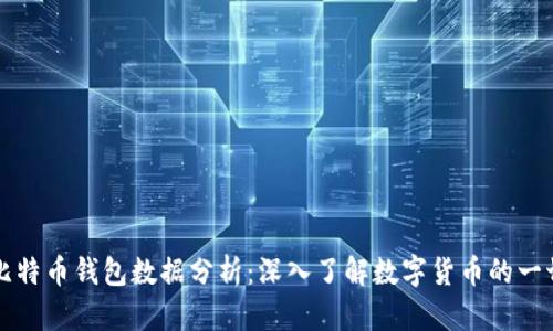 比特币钱包数据分析：深入了解数字货币的一切
