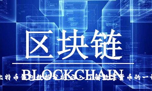 比特币钱包数据分析：深入了解数字货币的一切