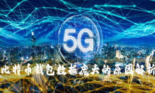 比特币钱包数据庞大的原因解析
