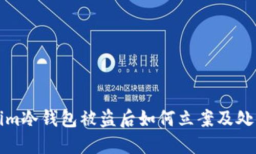 Tokenim冷钱包被盗后如何立案及处理指南