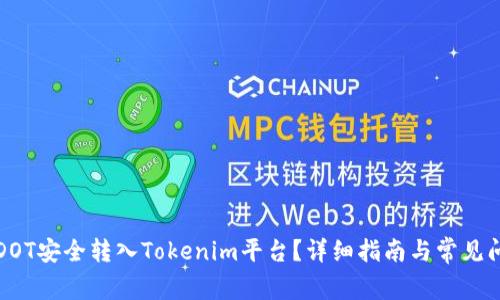 如何将DOT安全转入Tokenim平台？详细指南与常见问题解答