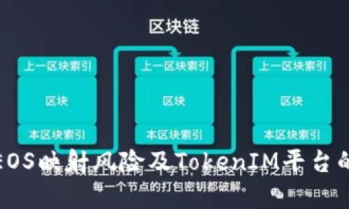 深度解析EOS映射风险及TokenIM平台的应对策略