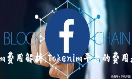 Tokenim费用解析：Tokenim平台的费用是否高？